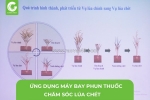 Ứng dụng máy bay phun thuốc chăm sóc lúa chét