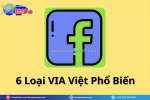 Via việt là gì? top 5 lý do via việt là công cụ quảng cáo hiệu quả