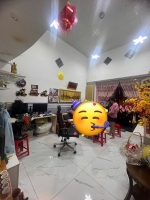 7,5x28m mặt tiền đường số - p. tân quy q7 - 2 tầng - giá 11 tỷ