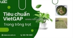 Áp dụng tiêu chuẩn vietgap trong trồng trọt xanh tại việt nam