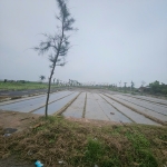 Bán đất nền ven biển, vị trí đắc địa, tiềm năng sinh lời cao, phù hợp đầu tư