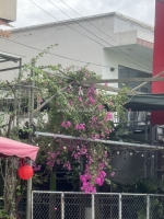 Bán nhà 2 tầng đườg mai chí thọ,hòa xuân,cẩm lệ .7.5 tỷ