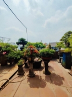 Bán nhà chu ván an 65m2 - 4 tầng - ngay học viện cán bộ chỉ 6.15 tỷ