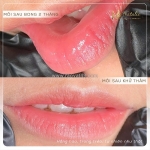 Bảng màu môi cho da ngăm khi phun tại natalie