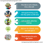 Cách bảo quản rau