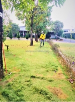 Cắt cỏ hoang, dịch vụ cắt cỏ bằng máy chất lượng ở đồng nai,hcm