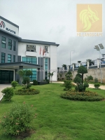 Chăm sóc cảnh quan tạo không gian thoáng mát ở đồng nai,hcm