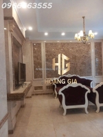 Cho thuê biệt thự nam viên -phú mỹ hưng-quận 7