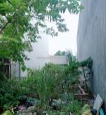 Đất đẹp -  shr - vuông vức - 60 m2 (4.3*14) - sát 3t