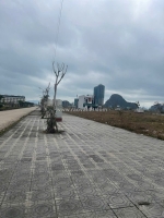 Đất nền vân đồn cần bán cắt lỗ, tại trung tâm vân đồn đón sóng đầu tư.