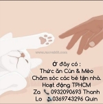 Dịch vụ tắm chó mèo tại nhà