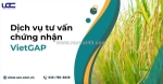 Dịch vụ tư vấn chứng nhận vietgap- hỗ trợ nhanh chóng, tiết kiệm
