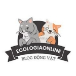 Ecologiaonline: chia sẻ kiến thức về động vật và sinh thái