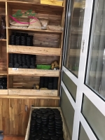 Giá đá bazan tự nhiên tại thái thuỵ, thái bình