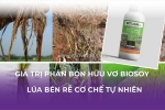 Giá trị phân bón hữu cơ vi sinh biosoy