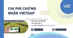 Giải mã chi phí chứng nhận vietgap- có thực sự đắt đỏ?