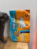 Hạt cho mèo minino yum vị hải sản