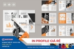 In profile giá rẻ tại tp hcm có nhận in số lượng ít báo giá nhanh chỉ 30p