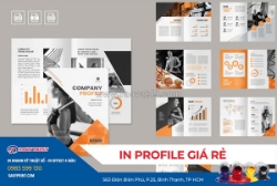 In profile giá rẻ tại tp hcm có nhận in số lượng ít báo giá nhanh chỉ 30p