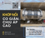 Khớp co giãn dùng cho dầu truyền nhiệt – khớp nối co giãn chịu áp cao, khớp giãn nở inox nối bích