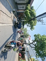 Mặt tiền phạm thế hiển 13x64 dtsd 686m2 chỉ 75 tỷ