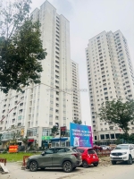 Mậu lương kiến hưng 50/55m phân lô vỉa hè, trục chính kinh doanh. giá 11 tỷ hơn