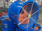 Quạt thông gió công nghiệp wing tm 500-4