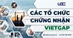 So sánh các tổ chức chứng nhận vietgap tại việt nam