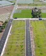 Sóng quất lâm đánh hơi to giá chỉ từ 10tr m2