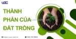 Thành phần của đất trồng bao gồm những gì?