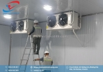 Thiết kế kho lạnh long an – công nghệ làm lạnh tiên tiến, kiểm soát nhiệt độ chính xác, tối ưu hiệu suất vận hành