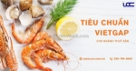 Tiêu chuẩn vietgap ngành thuỷ sản- cơ hội xuất khẩu toàn cầu