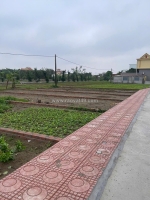 Bán 92m2 đất ở đô thị -  thị trấn quất lâm giá chỉ hơn 10tr/1m