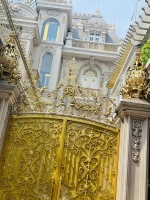 Bán biệt thự dát vàng nguyễn đình chiểu, đakao, quận 1