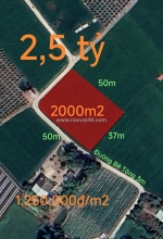 Bán đất lúa chuyển thổ phân lô hai mặt tiền giá 2,5 tỷ