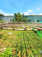 Bán đất phân lô, trường thạnh, nguyễn xiển q9, dt ( 4 x 16 ) 63m2, chỉ 3.1ty