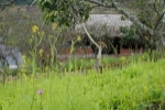 Bán đất view đẹp tại khu du lịch cộng đồng tổ vặt hồng, p. mường sang, tx mộc