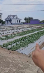 Bán nhanh lô 90m2 đất biển quất lâm view hồ, sát khu nghỉ dưỡng flamigo giá 1.5