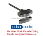 Cảm biến điện dung pulsotronic