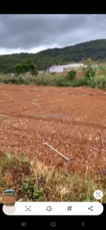 Cần bán : dt 9875m2 đất hiệp an đức trọng