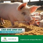 Cao khô sinh địa - giải pháp nâng cao sức khoẻ cho vật nuôi