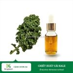 Chiết xuất cải kale biogreen bí quyết dưỡng da hoàn hảo