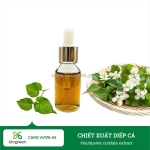 Chiết xuất diếp cá nguyên liệu mỹ phẩm kháng viêm, trị mụn