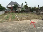 Chính chủ e chào bán 1 lô duy nhất ngay sát khu công nghiệp tràng duệ 3 đang