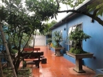 Cho thuê nhà vườn tại đông la 520m2. 3pn, full đồ cao cấp, 15tr/tháng, gần tố