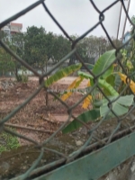 Chủ cần bán gấp lô đất – giá tốt cho nhà đầu tư – pháp lý rõ ràng - 7.1 tỷ