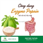 Cung cấp enzyme papain hỗ trợ sức khoẻ đường tiêu hoá