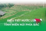 Điều tiết nước lúa tỉnh miền núi phía bắc