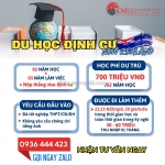 Du học định cư 2025 - xu hướng chọn ngành học thẳng visa định cư