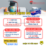Du học new zealand định cư cả gia đình - xu hướng chọn ngành học thẳng visa định cư